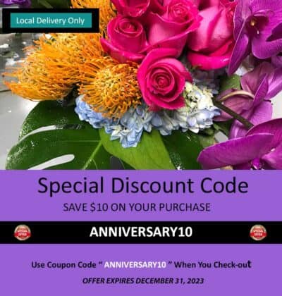 discount offer, save $10 on your purchase