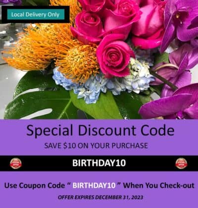 Blog10 Discount Offer, Save $10 On Your Purchase