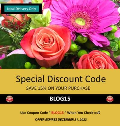 DISCOUNT OFFER, SAVE 15% ON YOUR PURCHASE